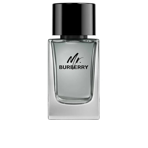 BURBERRY MR. BURBERRY-MEN-EDT-100ML
