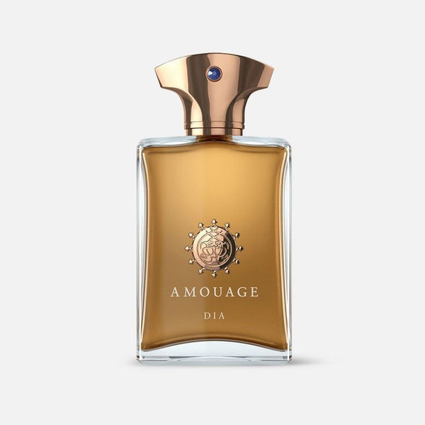 AMOUAGE DIA EDP 100ML FOR MEN