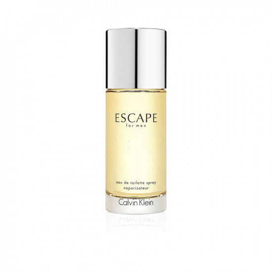 CALVIN KLEIN ESCAPE EDT 100ML FOR MEN
